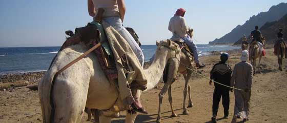 Excursions From Dahab